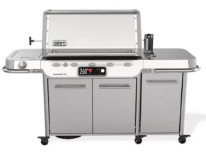 Weber Gasgrill Neuheit 2024